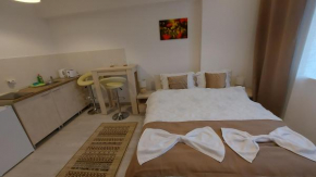 Teo Studio Rin Grand Residence